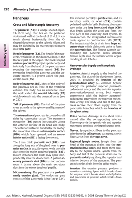 220 Alimentary System: Pancreas