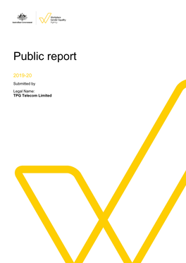 Public Report