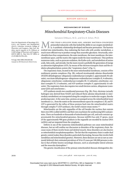 030626 Mitochondrial Respiratory-Chain Diseases