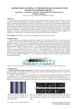 MICROTUBULE GLIDING at the BOUNDARY of KINESIN and DYNEIN PATTERNED SURFACE Junya Ikuta1*, Nagendra K