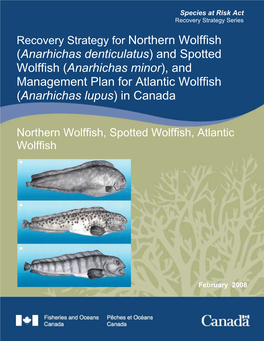 Recovery Strategy for Northern Wolffish (Anarhichas Denticulatus