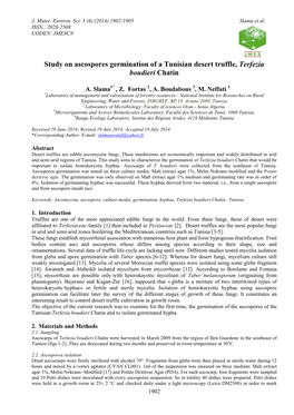 Study on Ascospores Germination of a Tunisian Desert Truffle, Terfezia Boudieri Chatin