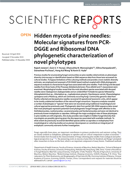 Hidden Mycota of Pine Needles: Molecular Signatures from PCR-DGGE and Ribosomal DNA Phylogenetic Characterization of Novel Phylo