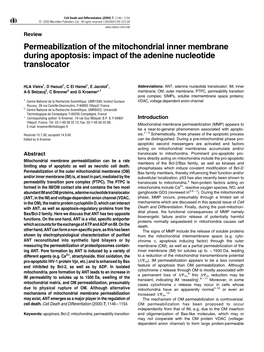 Permeabilization of the Mitochondrial Inner Membrane During Apoptosis: Impact of the Adenine Nucleotide Translocator