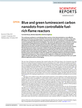 Blue and Green Luminescent Carbon Nanodots from Controllable Fuel-Rich