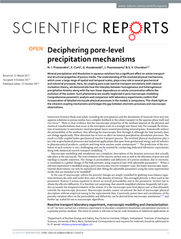 Deciphering Pore-Level Precipitation Mechanisms N