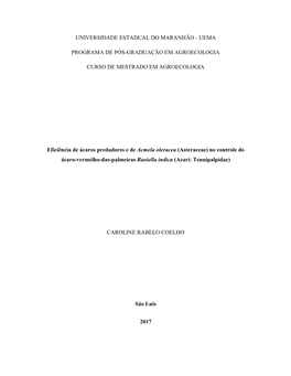 Universidade Estadual Do Maranhão - Uema