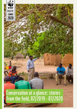 Conservation at a Glance: Stories from the Field, 07/2019 - 07/2020 © JASPER DOEST/WWF a Farmer Harvesting Tomatoes in in Harvestinga Farmer Tomatoes Zambia