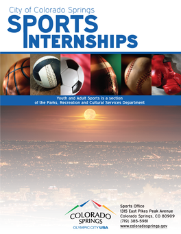 View Sports Intern Information