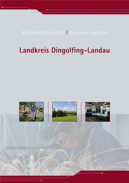 Wirtschaftsstandortbroschüre Des Landkreis Dingolfing-Landau