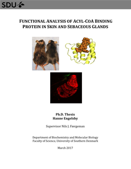 Functional Analysis of Acyl-Coa Binding Protein in Skin and Sebaceous Glands