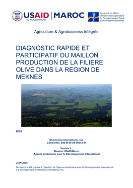Diagnostic Rapide Et Participatif Du Maillon Production De La Filiere Olive Dans La Region De Meknes