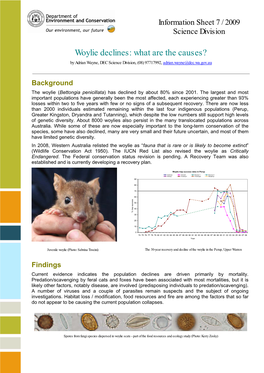 Woylie Declines: What Are the Causes? by Adrian Wayne, DEC Science Division, (08) 97717992, Adrian.Wayne@Dec.Wa.Gov.Au