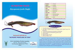 NUTRITION FACTS Heteropneustes Fossilis