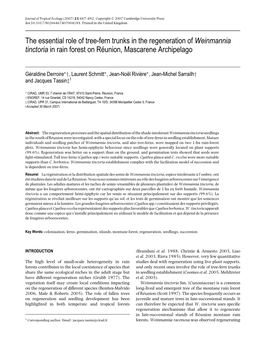 The Essential Role of Tree-Fern Trunks in the Regeneration of Weinmannia Tinctoria in Rain Forest on Reunion,´ Mascarene Archipelago