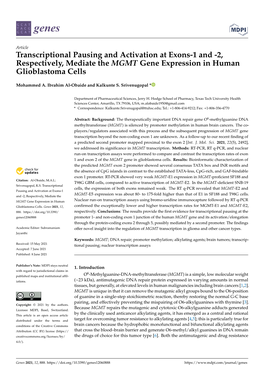 Transcriptional Pausing and Activation at Exons-1 and -2, Respectively, Mediate the MGMT Gene Expression in Human Glioblastoma Cells