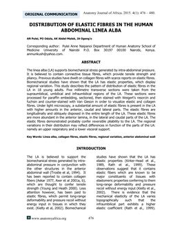 Distribution of Elastic Fibres in the Human Abdominal Linea Alba