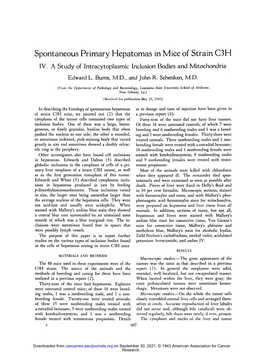 Spontaneous Primary Hepatomas in Mice of Strain C3H IV