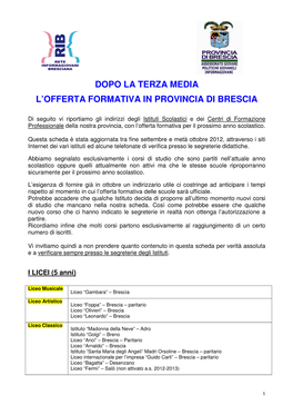Dopo La Terza Media L'offerta Formativa in Provincia Di Brescia