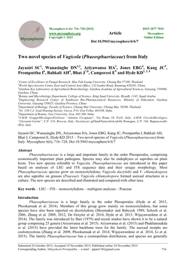 Phaeosphaeriaceae) from Italy