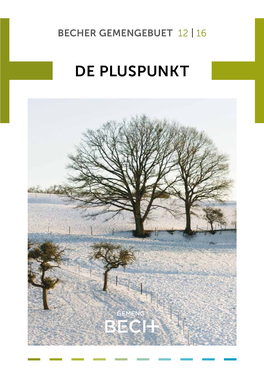 De Pluspunkt