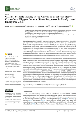 CRISPR-Mediated Endogenous Activation of Fibroin Heavy Chain Gene Triggers Cellular Stress Responses in Bombyx Mori Embryonic Cells