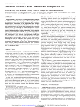 Constitutive Activation of Stat5b Contributes to Carcinogenesis in Vivo