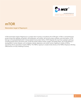 Mammalian Target of Rapamycin