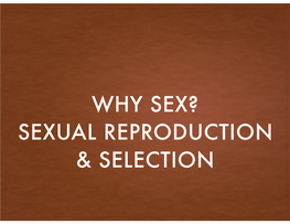 Why Sex? Sexual Reproduction & Selection