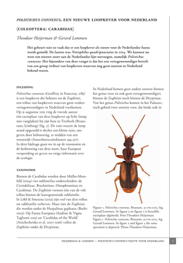Coleoptera: Carabidae)