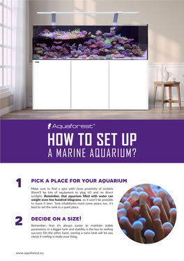 How to Set up Marine Aquarium