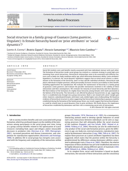 Social Structure in a Family Group of Guanaco (Lama Guanicoe