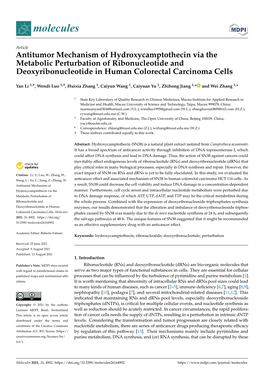 Antitumor Mechanism of Hydroxycamptothecin Via the Metabolic Perturbation of Ribonucleotide and Deoxyribonucleotide in Human Colorectal Carcinoma Cells