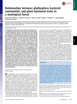 Relationships Between Phyllosphere Bacterial Communities and Plant