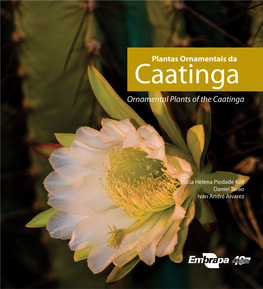 Plantas Ornamentais Da Caatinga Ornamental Plants of the Caatinga