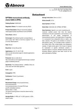 SPTBN4 Monoclonal Antibody, Clone S393-2