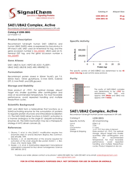SAE1/UBA2 Complex, Active Recombinant Full-Length Human Proteins Expressed in Sf9 Cells
