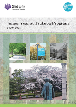 Junior Year at Tsukuba Program 2020-2021