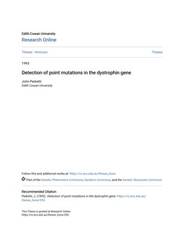 Detection of Point Mutations in the Dystrophin Gene