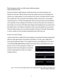 Patch Clamping and Its Practicality in Probing the Process of Photoreception