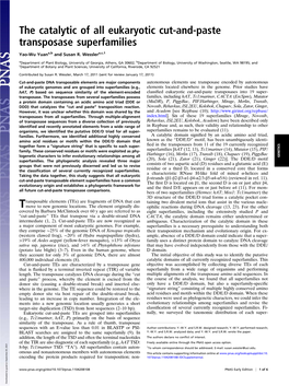 The Catalytic of All Eukaryotic Cut-And-Paste Transposase Superfamilies