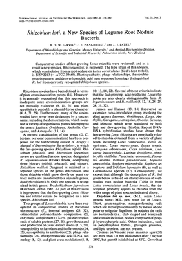 Rhizobiurn Loti, a New Species of Legume Root Nodule Bacteria