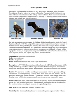 Bald Eagle Fact Sheet