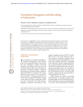 Translation Elongation and Recoding in Eukaryotes