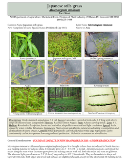 Japanese Stilt-Grass Microstegiumoriental Bittersweet Vimineum Control Guidelines Fact Sheet