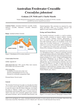 Australian Freshwater Crocodile Crocodylus Johnstoni Grahame J.W