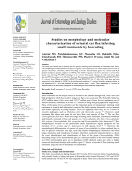 Studies on Morphology and Molecular Characterization of Oriental Cat Flea