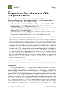 Pomegranate As a Potential Alternative of Pain Management: a Review