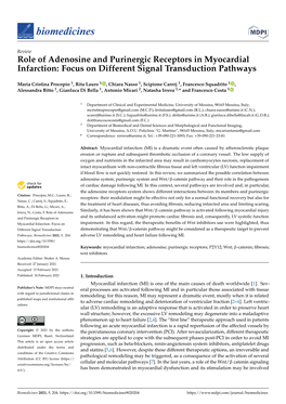 Role of Adenosine and Purinergic Receptors in Myocardial Infarction: Focus on Different Signal Transduction Pathways