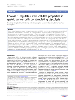 Enolase 1 Regulates Stem Cell-Like Properties in Gastric Cancer Cells by Stimulating Glycolysis